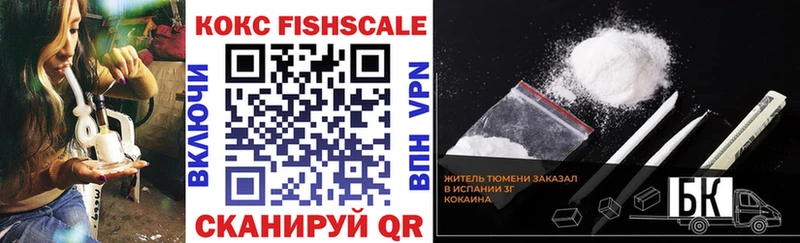 купить наркотик  darknet телеграм  COCAIN VHQ  Гатчина 