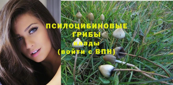 таблы Белокуриха