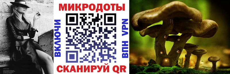 Галлюциногенные грибы Magic Shrooms  Гатчина 